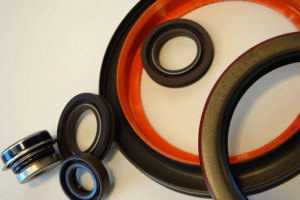 rotary shaft seals